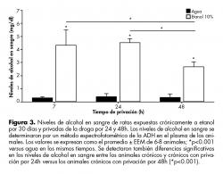 Niveles de alcohol en sangre de ratas expuestas crónicamente a etanol por 30 días y privadas de la droga por 24 y 48h.